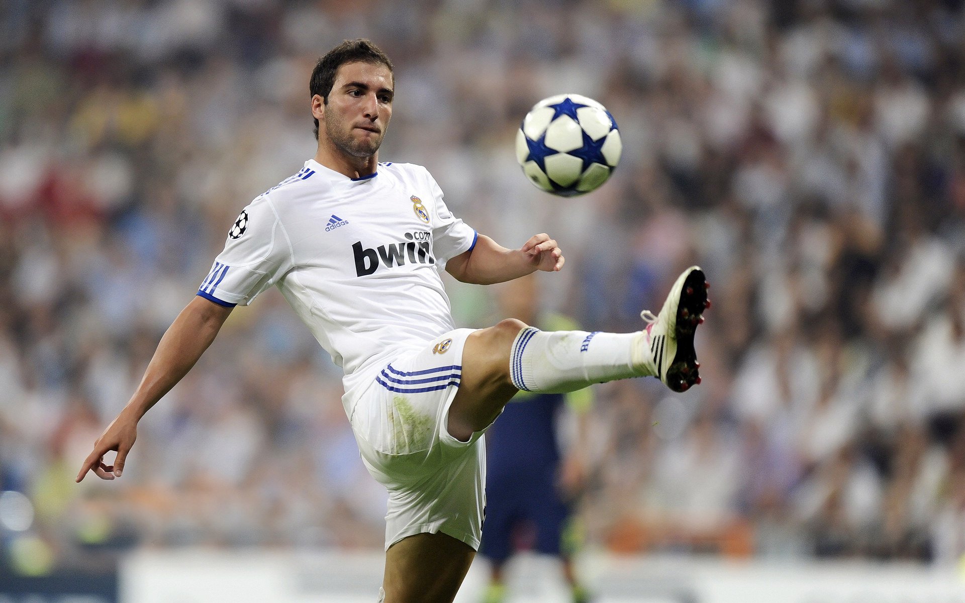 本周体育十大新闻